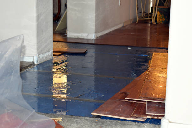 Professional Basement Flood Cleanup technician working in Danville, IA